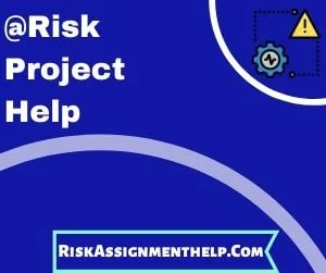@Risk For Risk Analysis Project Help